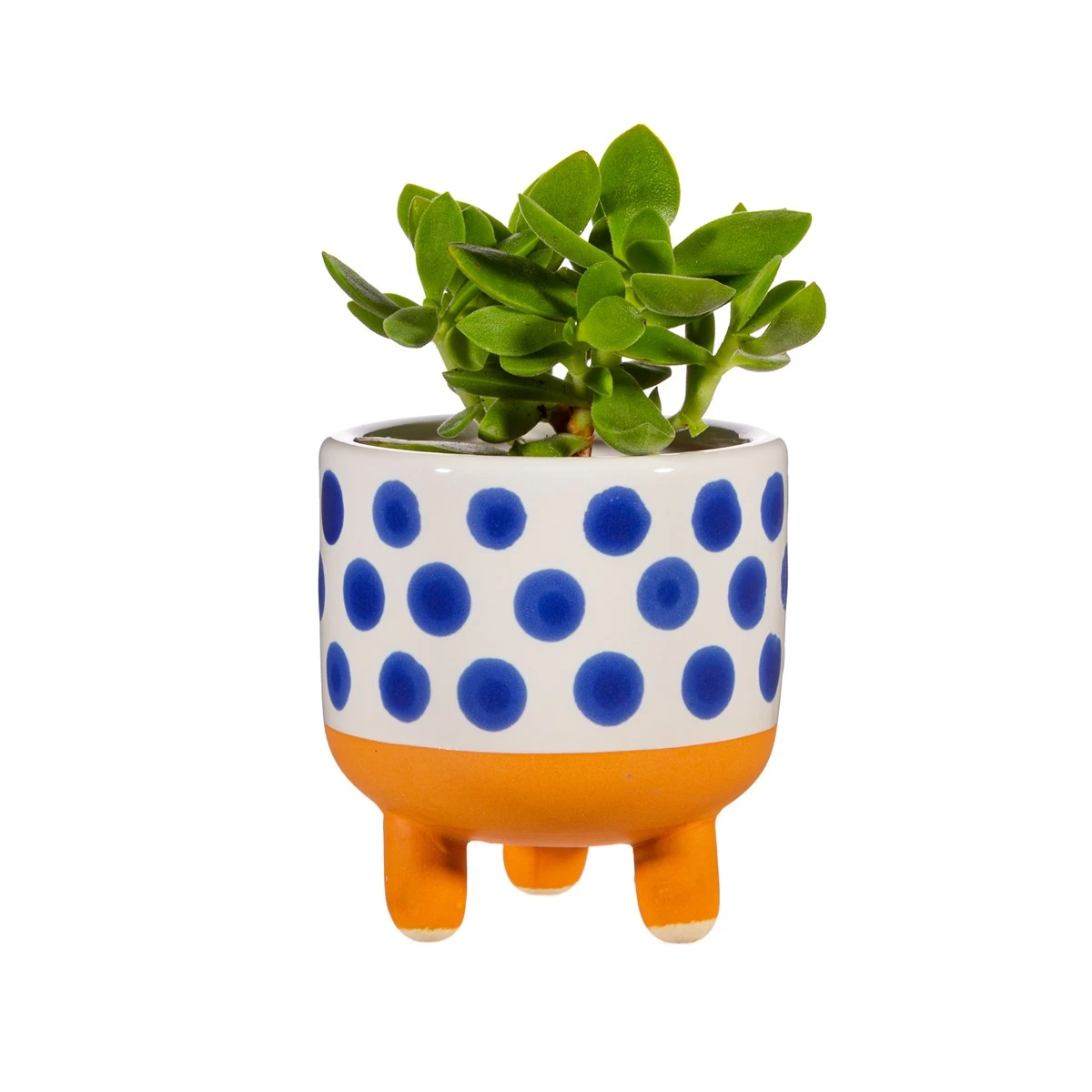 Naxos Blue Spot Small Planter - Image 2