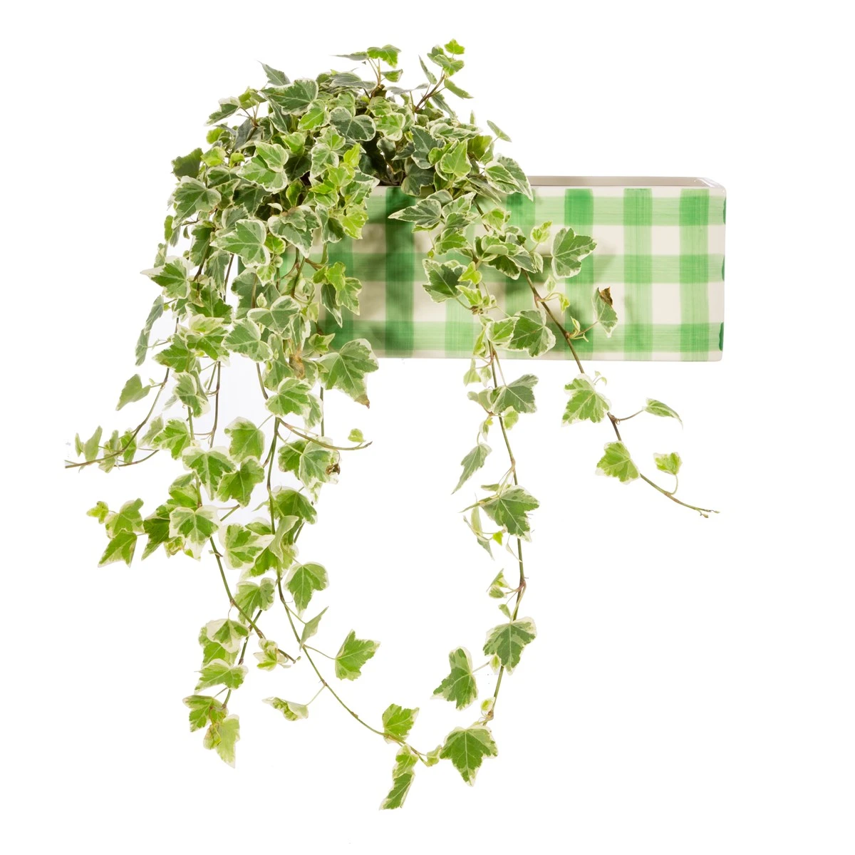 Gingham Trough Planter Green - Image 2