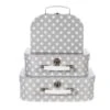 Nordic Star Suitcases Grey - Set Of 3