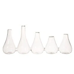 Multi Bud Vase - Set Of 5