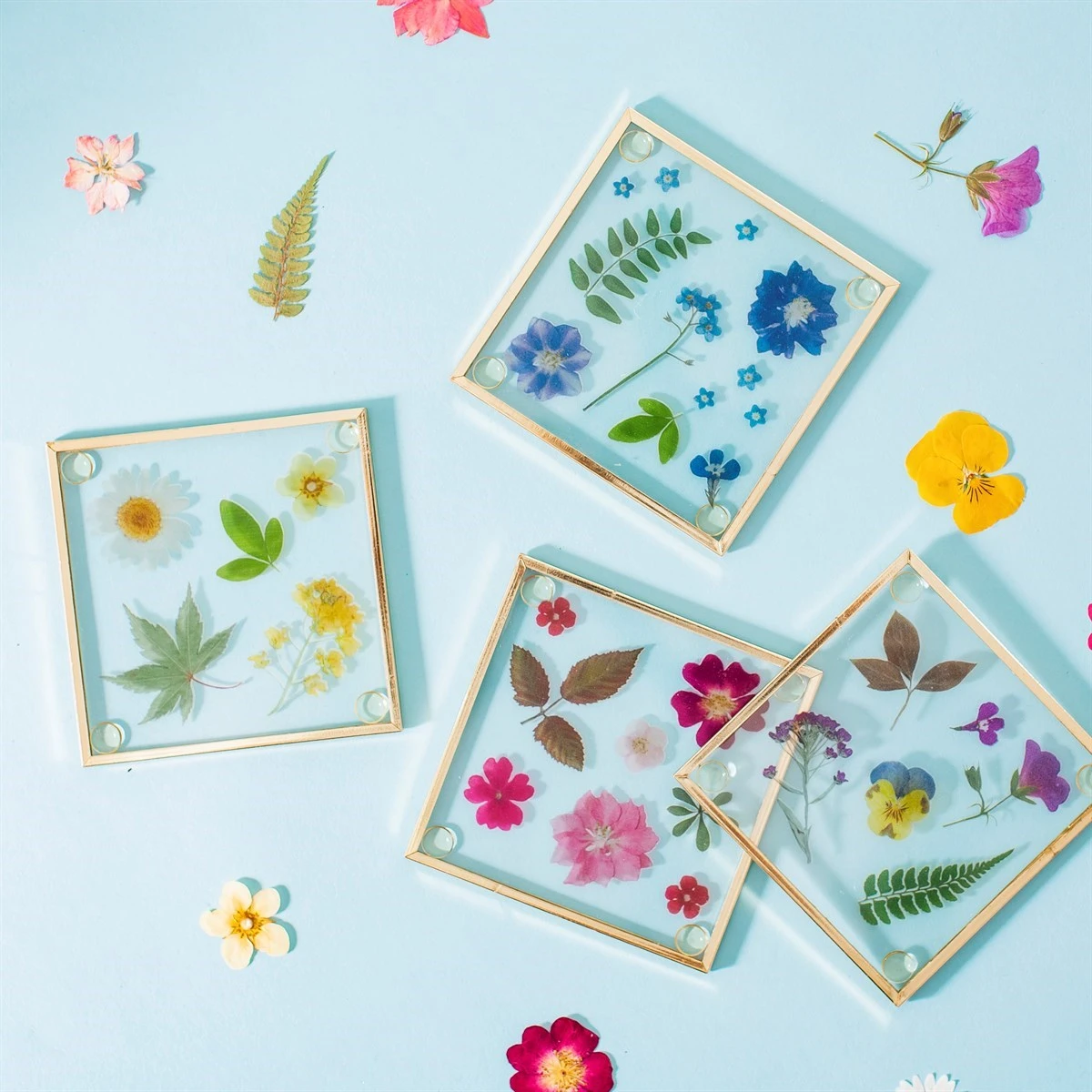 Pressed Flowers Glass Coasters - Image 3