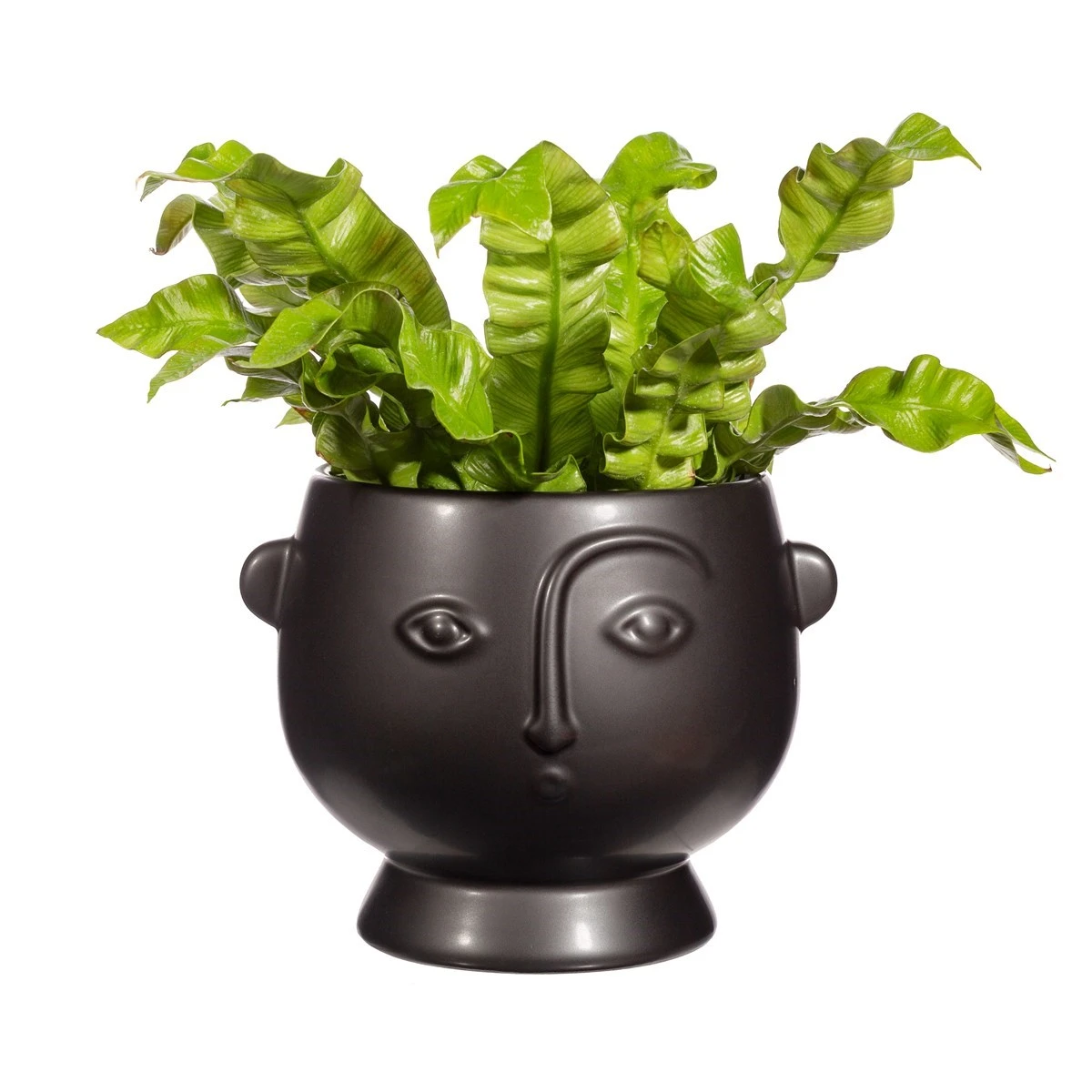 Large Face Planter Matte Black - Image 2